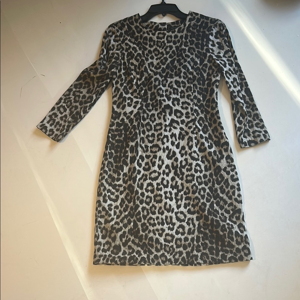 rag & bone Leopard Print silk dress Sz 2